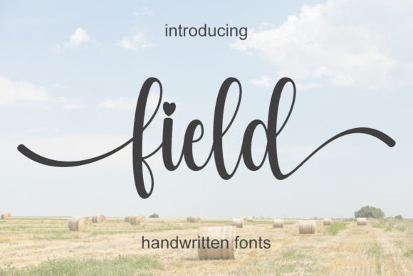 Field: A Script That Feels Like a Handshake